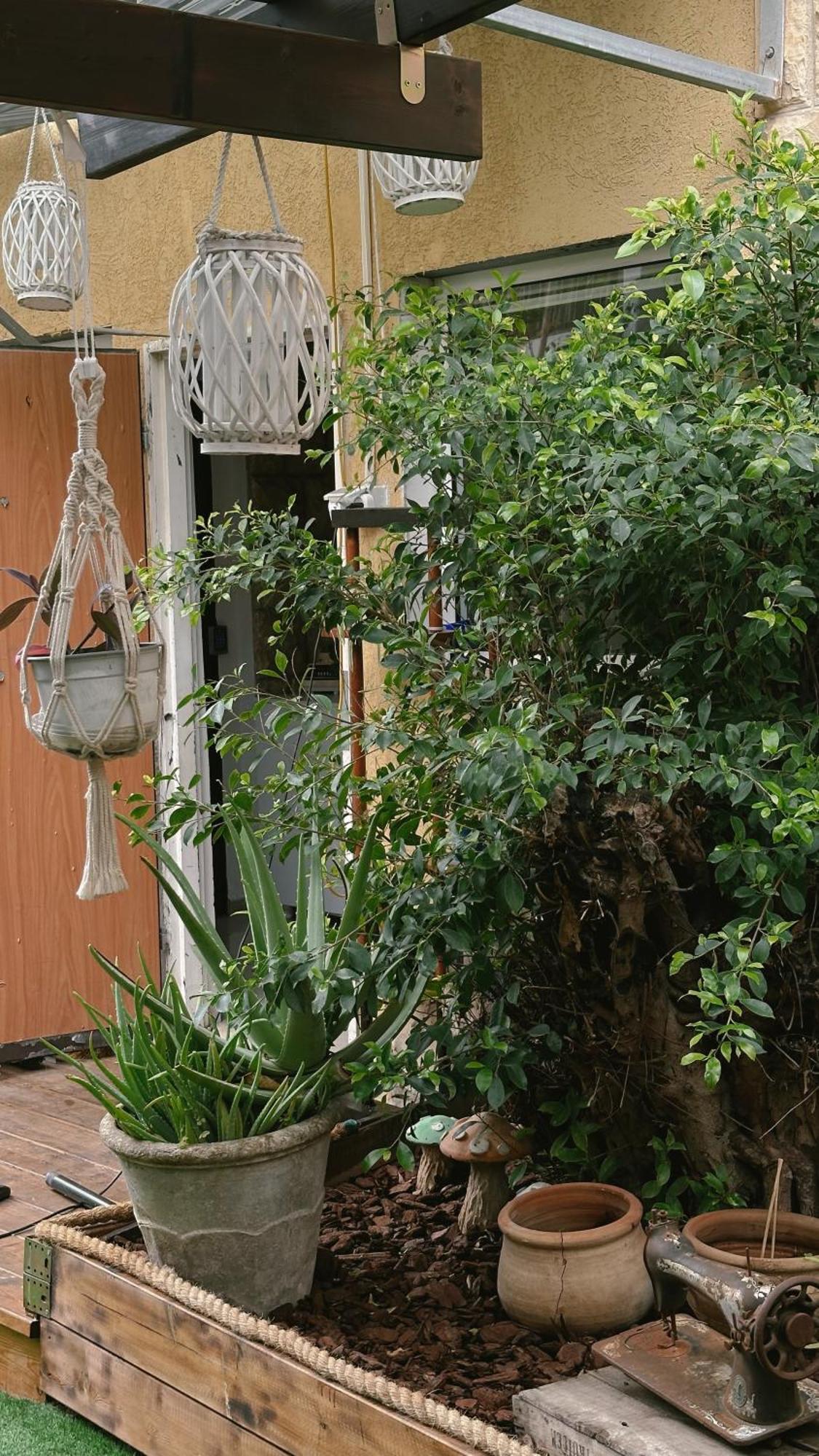 Dream House Art Hostel Garden And Terrace Haifa Eksteriør billede